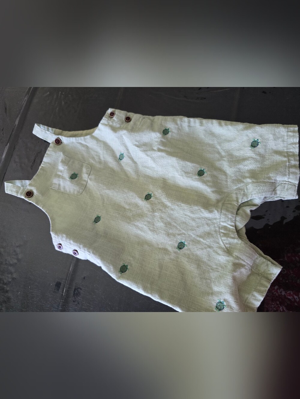 Janie and Jack mint Overalls with Turtle Motif